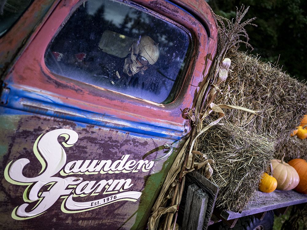 Saunders Farm Halloween event drivethru due to COVID19 restrictions Ottawa Citizen