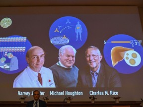 Nobel Committee member Patrik Ernfors sits in front of a screen displaying the winners of the 2020 Nobel Prize in Physiology or Medicine, (L-R) American Harvey Alter, Briton Michael Houghton and American Charles Rice, during a press conference at the Karolinska Institute in Stockholm, Sweden, on October 5, 2020. - Americans Harvey Alter and Charles Rice as well as Briton Michael Houghton win the 2020 Nobel Medicine Prize for the discovery of Hepatitis C virus.