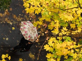 A woman walks under an umbrella during a light rain on an autumn day.