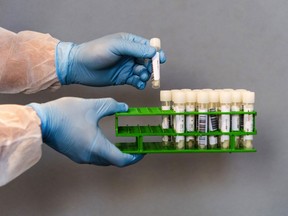 A health worker inserts COVID-19 swab test tubes into a rack.