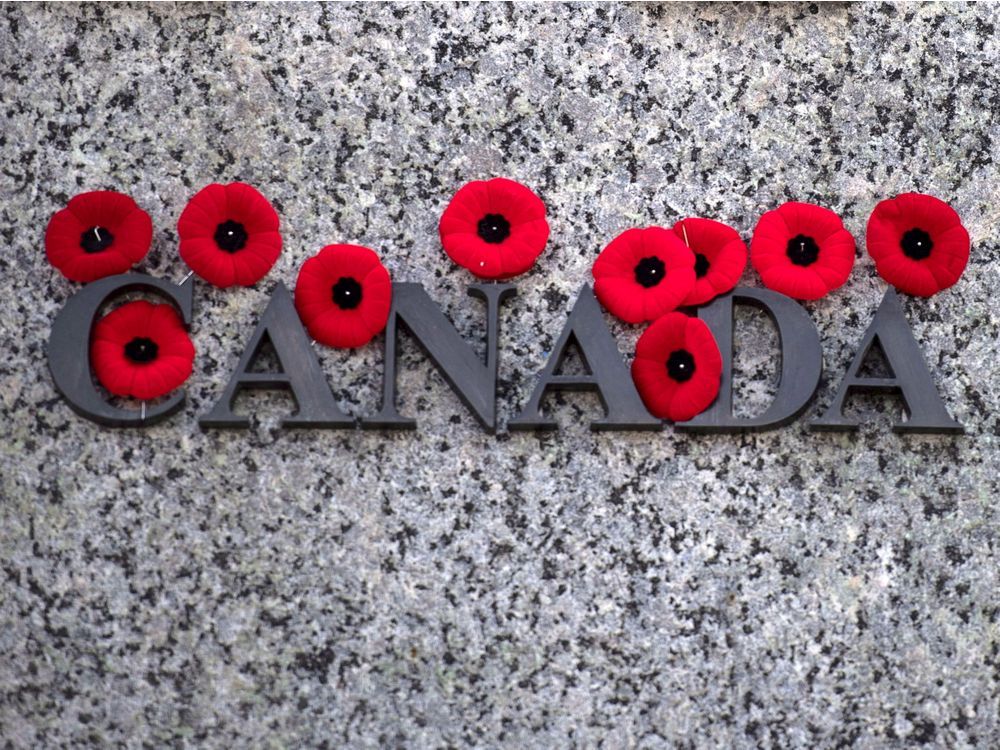 Remembrance Day: Where does the money you spend on Poppy Appeal actually go?