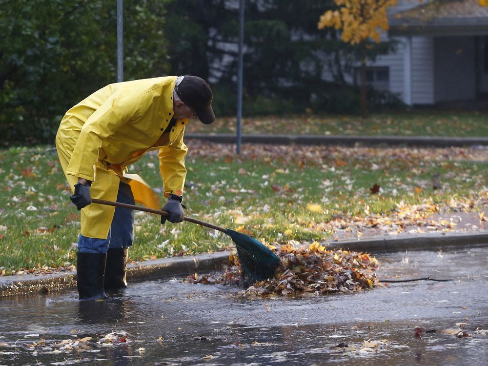 Cloudy with a risk of showers and it won't get much warmer | Ottawa Citizen