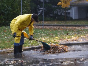A man tries to clear the leaves off the sewer grate.