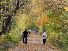 Pedestrians and cyclists were enjoying the fall colours on a path along side the Ottawa River in Ottawa on Friday .