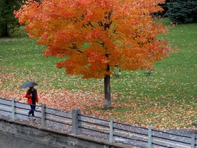 Out for a fall walk along the Rideau Canal.