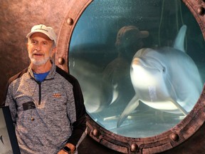 Roger Holzberg, creative director for the animatronics program at Edge Innovations, stands in front of a tank containing an animatronic dolphin at the company's warehouse in Fremont, California on September 30, 2020.