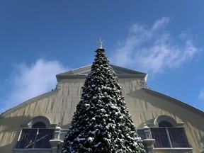 A Christmas tree at Lansdowne Park on Monday, Nov 23, 2020.