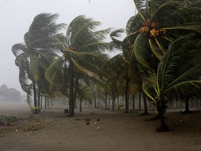 Palm trees sway in the wind as Hurricane Eta approaches, in Tela, Honduras November 3, 2020.