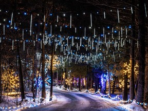 Get inspired for your own Christmas lights by checking out displays across the city, including the Magic of Lights Ottawa at Wesley Clover Parks.