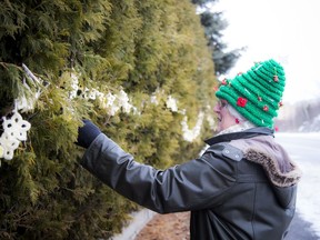 Wilhelmina Ross has made and hung stars for each Ottawa life lost to COVID-19. She shows off the stars that hang along Campeau Drive.