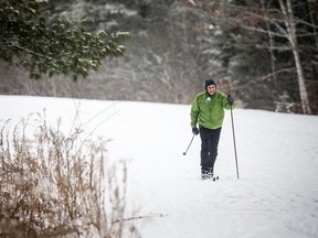 A cross-country skier enjoys the magic of Gatineau Park.