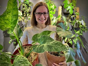 Lindsay MacKay runs her successful tropical plant business Trofolia from her home in Carleton Place.