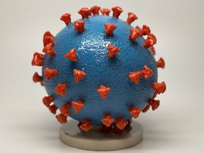 An undated photo shows a 3-D print of a SARS-CoV-2 particle, the virus that causes COVID-19.