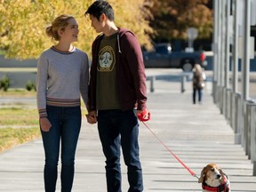 Puppy, love: Jessica Rothe and Harry Shum Jr. in All My Life.