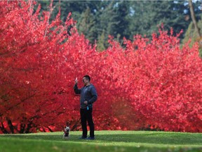 A man and his dog enjoying a November day near Vancouver's Stanley Park.