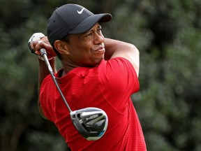 Files: Tiger Woods