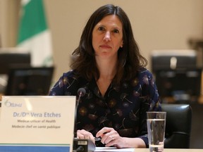 Ottawa’s medical officer of health Dr. Vera Etches says she did not 'specifically' support the including Kanata's K2V in the province's list of COVID-19 hot spots.