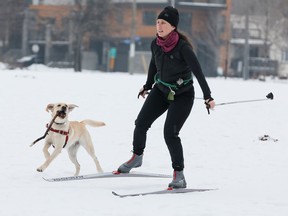 A woman cross country skiing with her dog in Riverain Park.