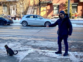 FILE: An average man walks his exceptional cat.