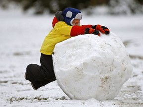 A young boy struggles with a big snowball.