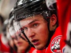 Josh Norris had a really good first pro season with the Belleville Senators of the American Hockey League, and it's expected he'll begin his second in the NHL with Ottawa.