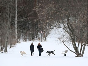 Two people walk their dogs at Conroy Pit in Ottawa on Tuesday. Questions remain about how the new stay-at-home order will affect the way Ottawans live, especially when it comes to outdoor recreation.