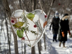 Ice art hangs in the Riverview woods in Ottawa Friday. Paper hearts and ice art  make the winter walk enjoyable along the wooded path.