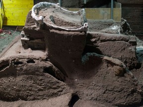 A photo handout on February 27, 2021 by the archaeological park of Pompeii shows a large Roman four-wheeled ceremonial chariot after it was discovered near the The archaeological park of Pompeii. - The chariot was discovered in a porch in front of a stable where, already in 2018, the remains of 3 equids, including a harnessed horse, had been found.