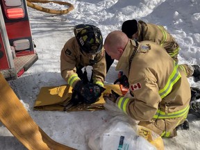 Ottawa firefighters use a specialized pet oxygen mask to revive one of two dogs rescued from a fire in Carlington Thursday.