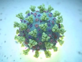 FILE PHOTO: A computer image created by Nexu Science Communication together with Trinity College in Dublin, shows a model structurally representative of a betacoronavirus which is the type of virus linked to COVID-19, better known as the coronavirus.