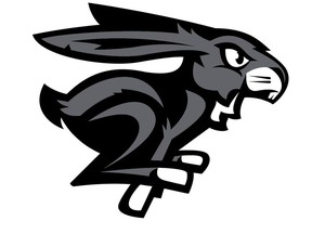 Logo for the Ottawa BlackJacks professional basketball team.