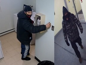 Ottawa police is seeking public assistance in identifying a suspect in several break and enters in the Centrepointe district.