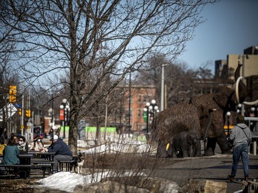 People were out and about in Centretown, near the Canadian Museum of Nature, to enjoy the Saturday sunshine.