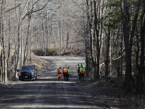 Searchers scour the thick woods of South Frontenac on Tuesday looking for three-year-old Jude Walter Leyton.