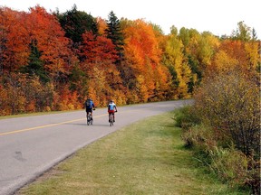 Files: Cyclists enjoy Gatineau Park in the fall.