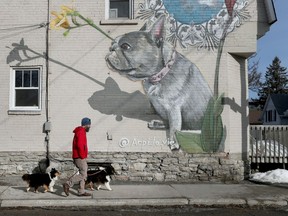 Lots of good dogs (and their owners) getting out and enjoying the spring weather in Ottawa.