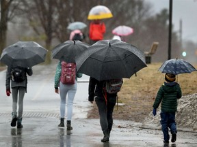 Kids and parents walk to school in pouring rain in Ottawa on Friday.