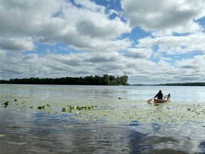 A solo canoeist makes his way toward Kettle Island from the Gatineau side of the Ottawa River  last summer.