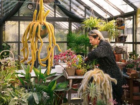 A lush greenhouse in a quiet corner of Turkey. Excerpted from The Kinfolk Garden by John Burns (Artisan Books) © 2020.