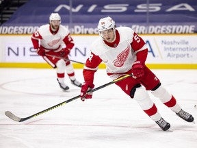 Bobby Ryan of the Detroit Red Wings suffered a season-ending injury.