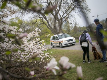 The on and off rain showers did not stop people from heading out to stroll through the Arboretum, part of the Central Experimental Farm, Sunday, April 25, 2021, to enjoy the blossoms on the apple trees and the magnolias. Bylaw and security vehicles were driving through the pathways keeping an eye people were following COVID-19 rules and enjoying the outdoor space safely.