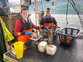 Joel and Melissa Collier of Courtenay, B.C. harvest prawns, salmon and scallops, and partnered with community-supported fishery Skipper Otto to sell some of their catch.