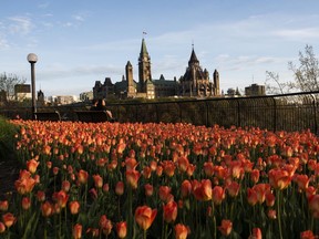 Parliament Hill is seen as people sit on a bench in Major's Hill Park in Ottawa on the Victoria Day long weekend last year.