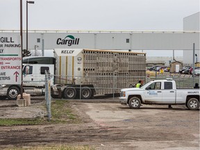 Workers wearing protective masks stand outside the Cargill Inc. beef plant in High River, Alberta, Canada, on Monday, May 4, 2020. The facility,  accounts for about 40% of Canada's beef processing capacity,