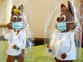 FILE: Chocolate Easter bunnies decorated as doctor and nurse (R) holding syringes.