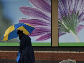 Rain showers bring spring flowers.