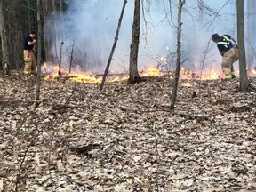 FILE: Ottawa Fire Services attended the scene of a brush fire in the Kanata, April 8.