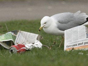 Don't get in a flap over garbage; just clean it up.