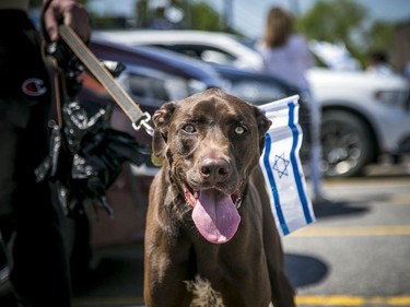 Five-year-old Milo came from Israel two years ago.
