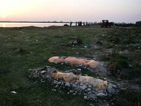 Bodies of suspected Covid-19 coronavirus victims are seen partially buried in the sand near a cremation ground on the banks of Ganges River in Rautapur Ganga Ghat, in Unnao on May 13, 2021.
